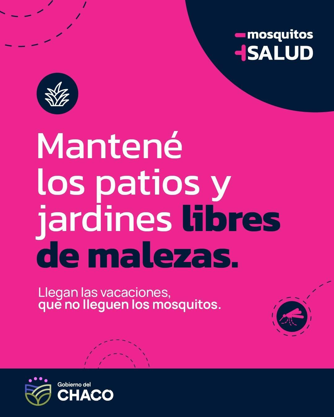 👉 EN LAS VACACIONES, QUE *NO* LLEGUEN LOS MOSQUITOS.  Este verano, evitemos la reproducción del mosquito:  ✂️🌿 Desmalezá tu patio o jardín.  *Menos mosquitos, más salud.*