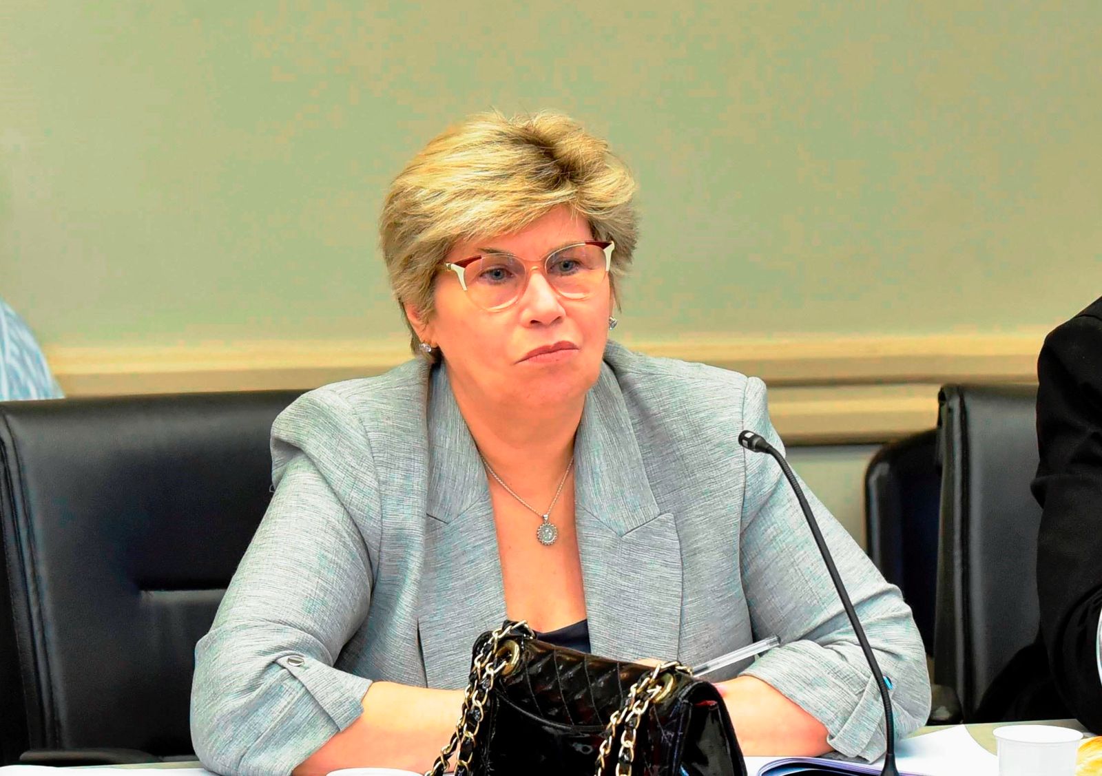 De cara el inicio del ciclo lectivo : naidenoff ratifico la política educativa 