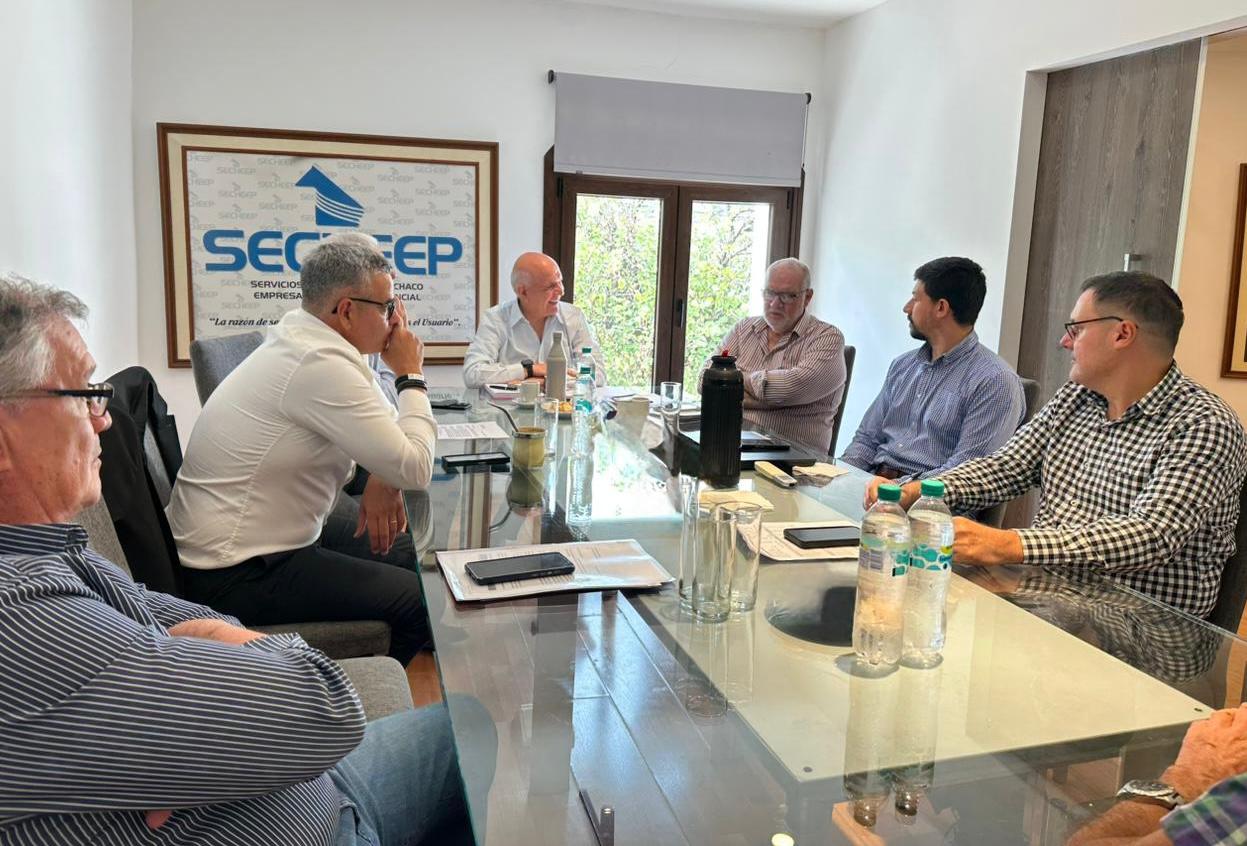 *CHACO, CORRIENTES Y FORMOSA PEDIR&Aacute;N A NACION EXTENDER EL SUBSIDIO EL&Eacute;CTRICO HASTA MARZO*