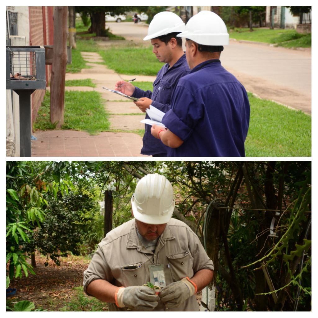 *SALUD REALIZO UN RELEVAMIENTO Y ACCIONES CONTRA EL MOSQUITO, EN VILLA GHIO*