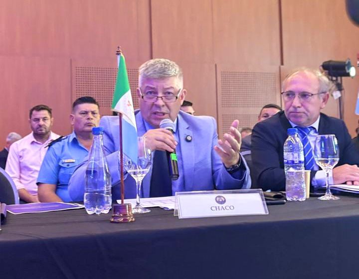 *CONSEJO DE SEGURIDAD INTERIOR: MATKOVICH PIDIO REFORZAR EL CONTROL DEL ESPACIO A&Eacute;REO NORTE*