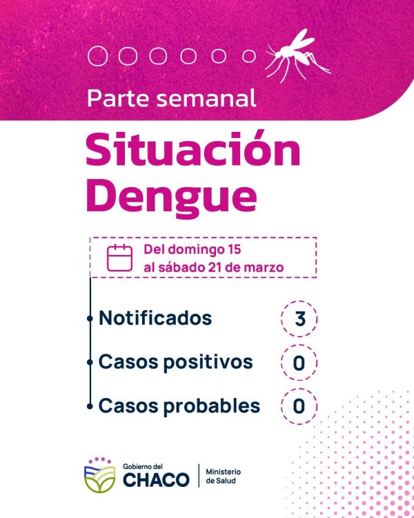 *SIN CASOS DE DENGUE EN LA PROVINCIA: SALUD INSISTE EN LA PREVENCI&Oacute;N*  