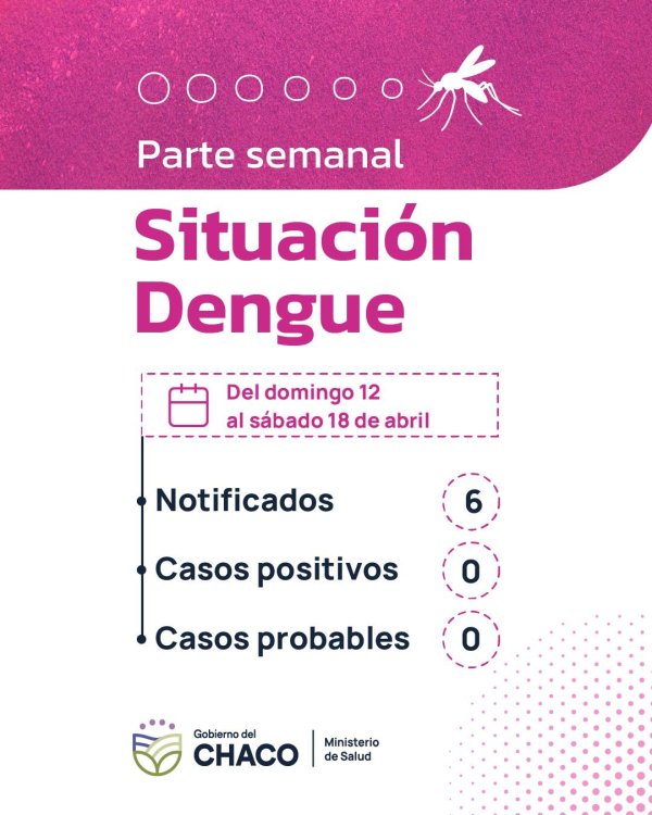 *CHACO SIN DENGUE: SALUD INSISTE EN REFORZAR LA PREVENCI&Oacute;N, ANTE LAS &Uacute;LTIMAS LLUVIAS*  