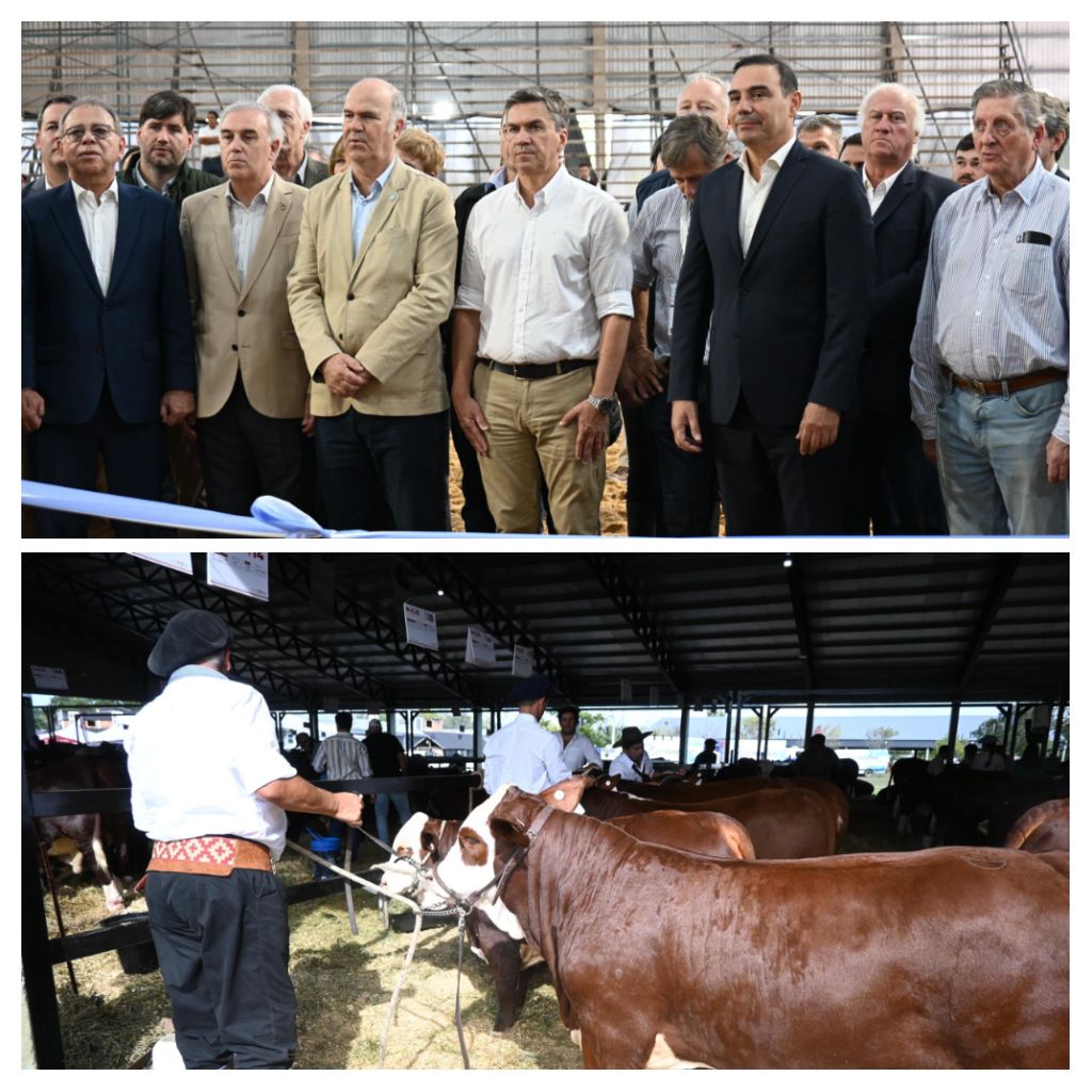 CORRIENTES: EL GOBERNADOR ZDERO ACOMPAÑÓ LA APERTURA DE LA 22° EXPOSICIÓN NACIONAL BRAFORD EN LA SOCIEDAD RURAL