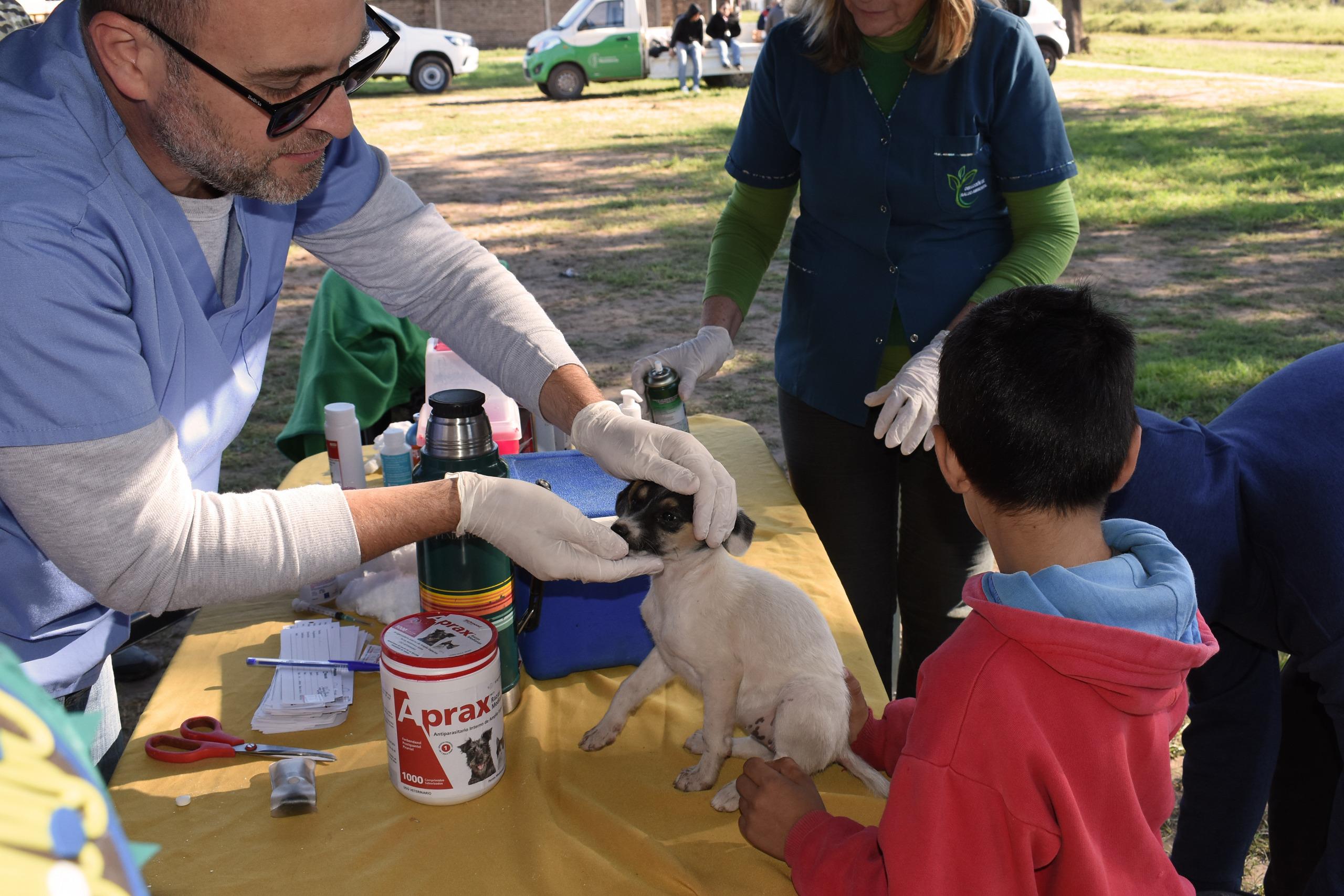 ”DEJANDO HUELLAS”: EL PROGRAMA PROVINCIAL DE PROTECCIÓN ANIMAL LLEGÓ A LA ZONA SUR DE RESISTENCIA