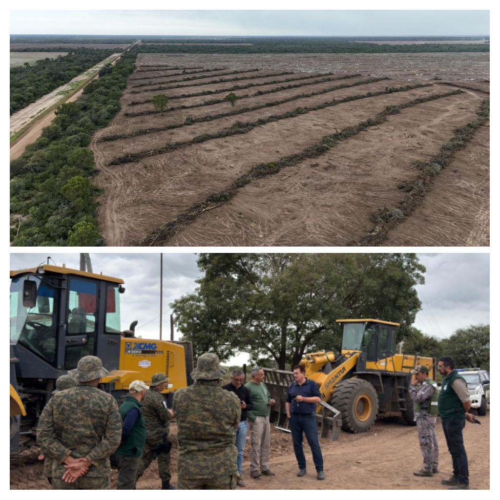 PAMPA DEL INFIERNO: NUEVO OPERATIVO CONTRA EL DESMONTE ILEGAL