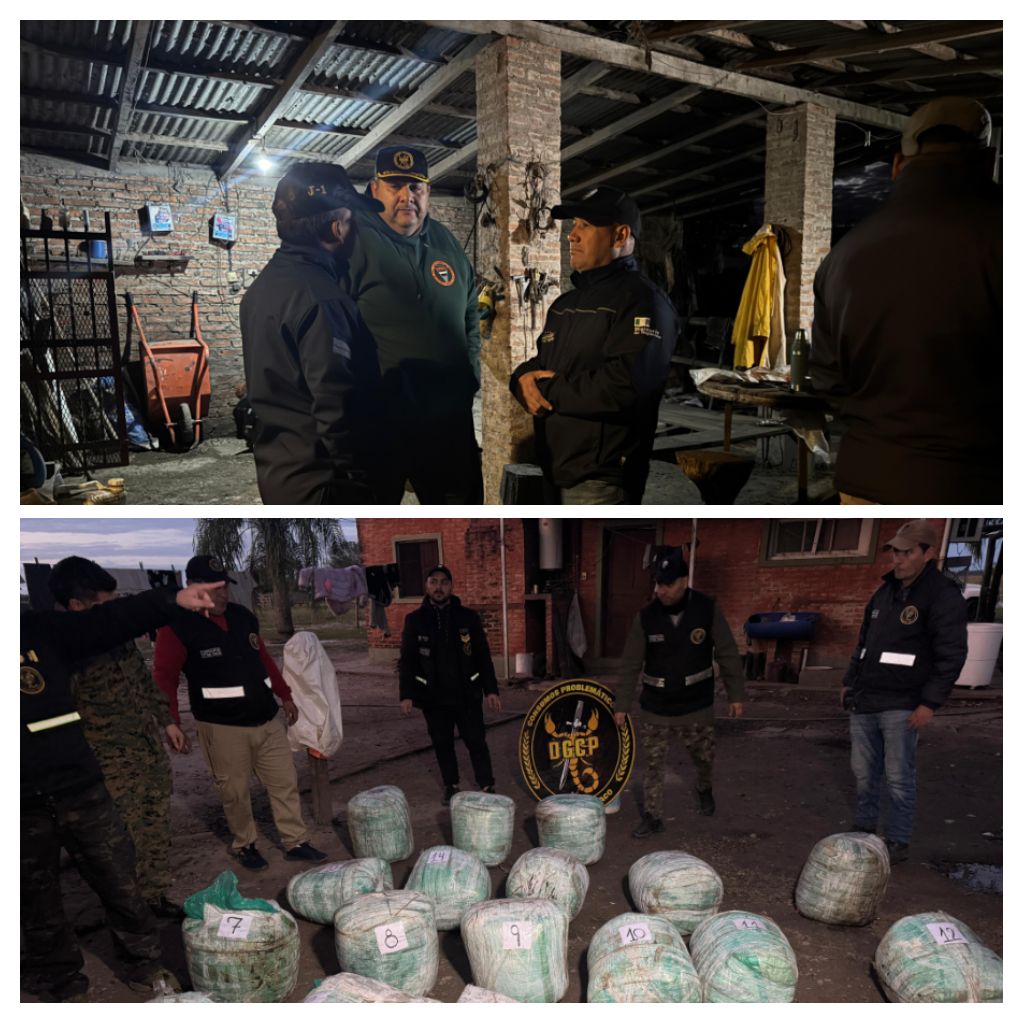 DURO GOLPE A LAS NARCO BANDAS: MÁS DE 230 KILOS DE MARIHUANA INCAUTADOS, TRAS ALLANAMIENTO EN UN CAMPO EN LA LEONESA
