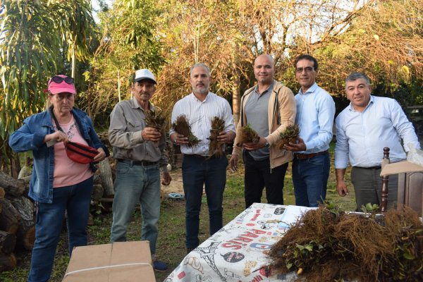 *&Ntilde;ANDE ACOMPA&Ntilde;A A PRODUCTORES DE FRUTILLAS CON INSUMOS Y APOYO DIRECTO*