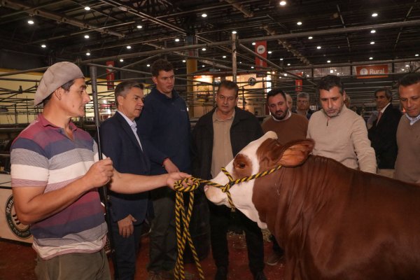 *GANADER&Iacute;A, PRODUCCI&Oacute;N Y EXPORTACI&Oacute;N: CHACO MUESTRA SU CRECIMIENTO EN LA EXPO RURAL DE PALERMO*
