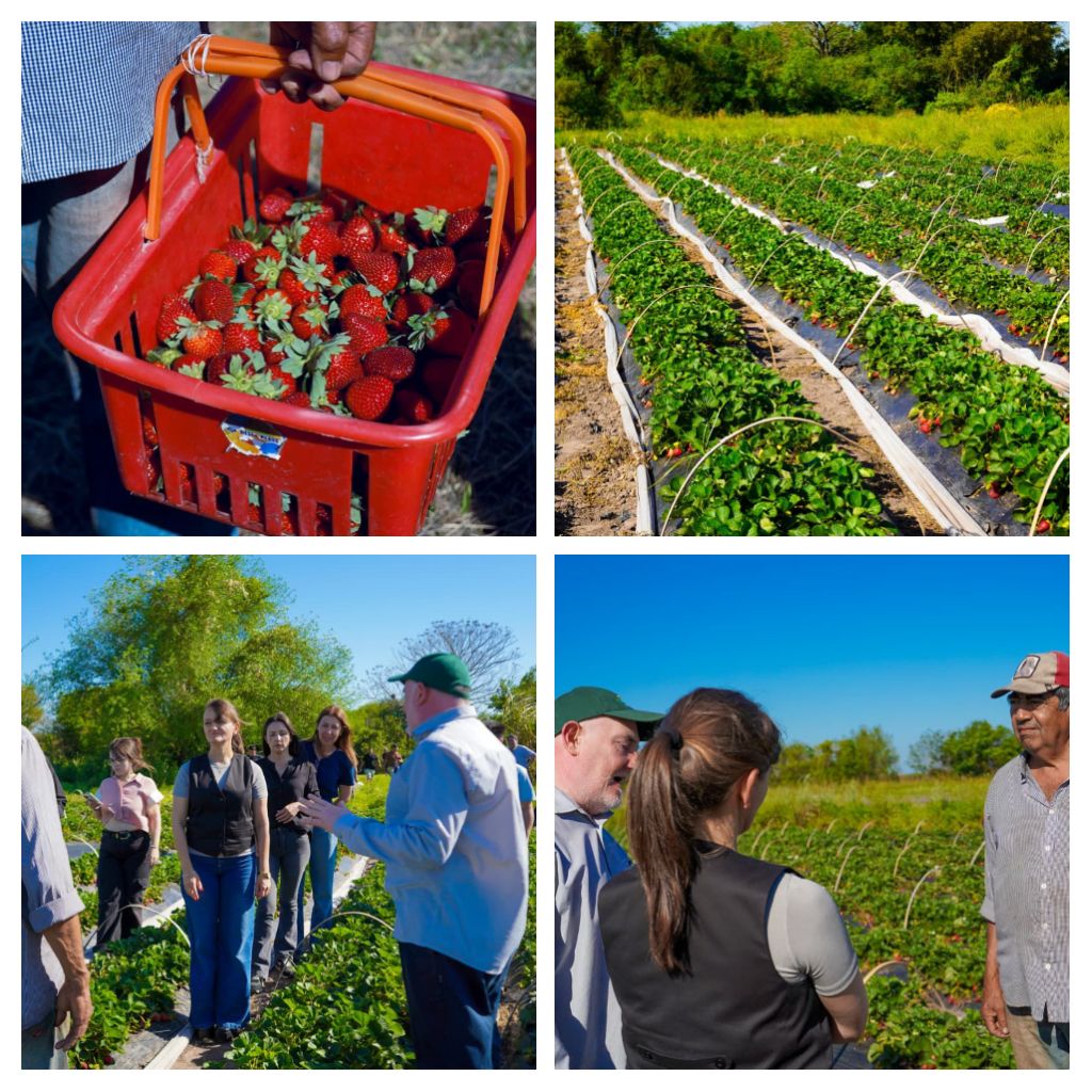 LAS PALMAS: “ACOMPAÑAMOS AL QUE TRABAJA LA TIERRA Y GENERA FUTURO” EXPRESÓ LA VICEGOBERNADORA SCHNEIDER