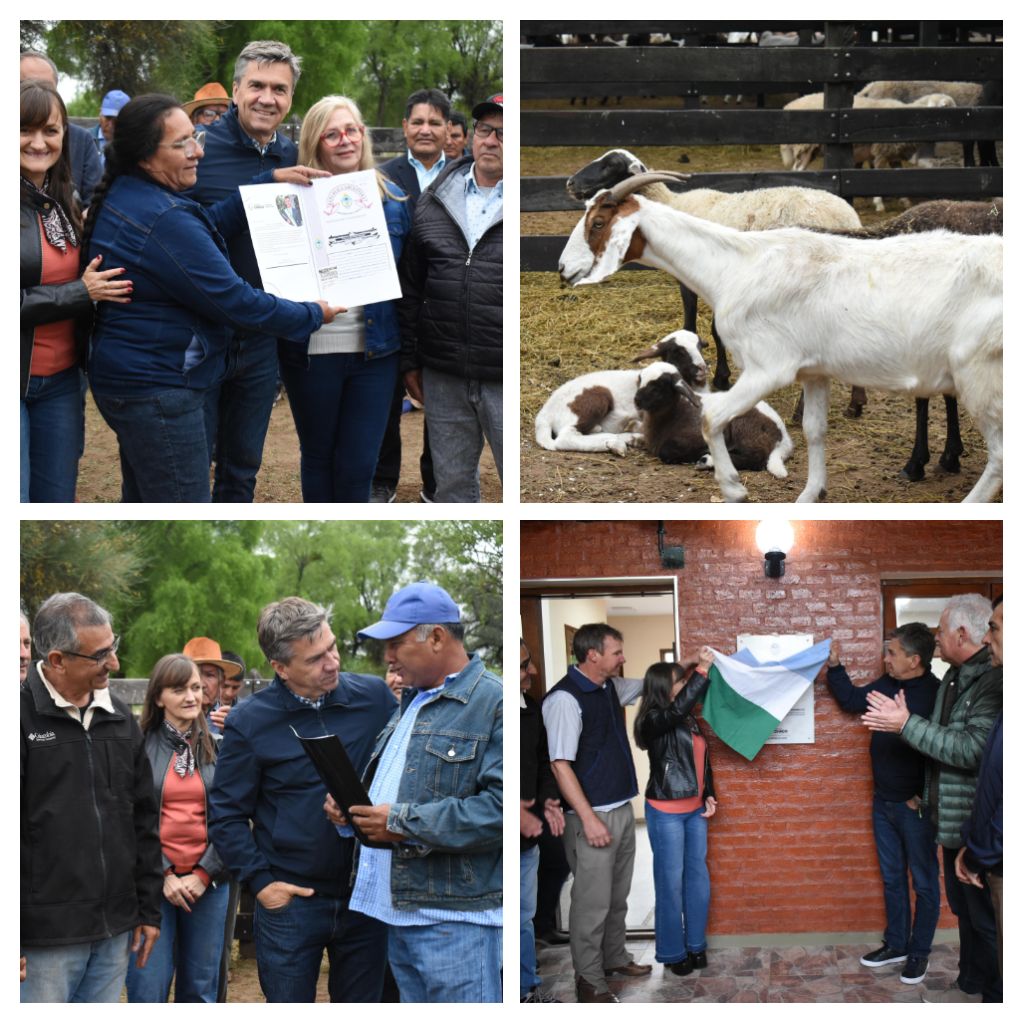 El espinillo : el gobernador zdero habilitó obras en el cedepro y entrego reproductores caprinos para la mejora genética 