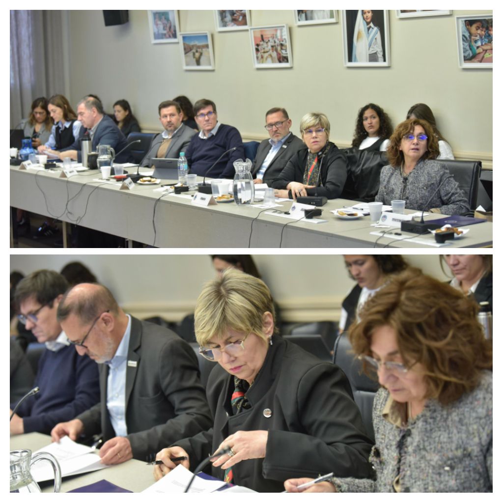 Chaco presenta en el consejo federal de educación que aprobó pautas federales para el mejoramiento de la enseñanza y aprendizaje