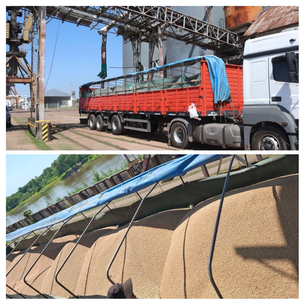 Exportación de trigo a bolivia :el puerto de barranqueras concreto una nueva operación internacional