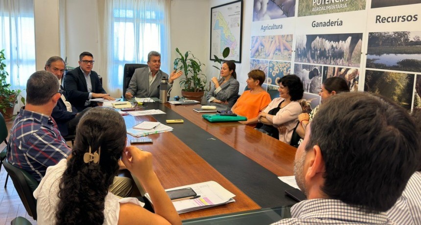 REUNIÓN PARA  LA NORMALIZACIÓN PATRIMONIAL Y RESGUARDO DE DOCUMENTACIÓN DEL EX IAFEP